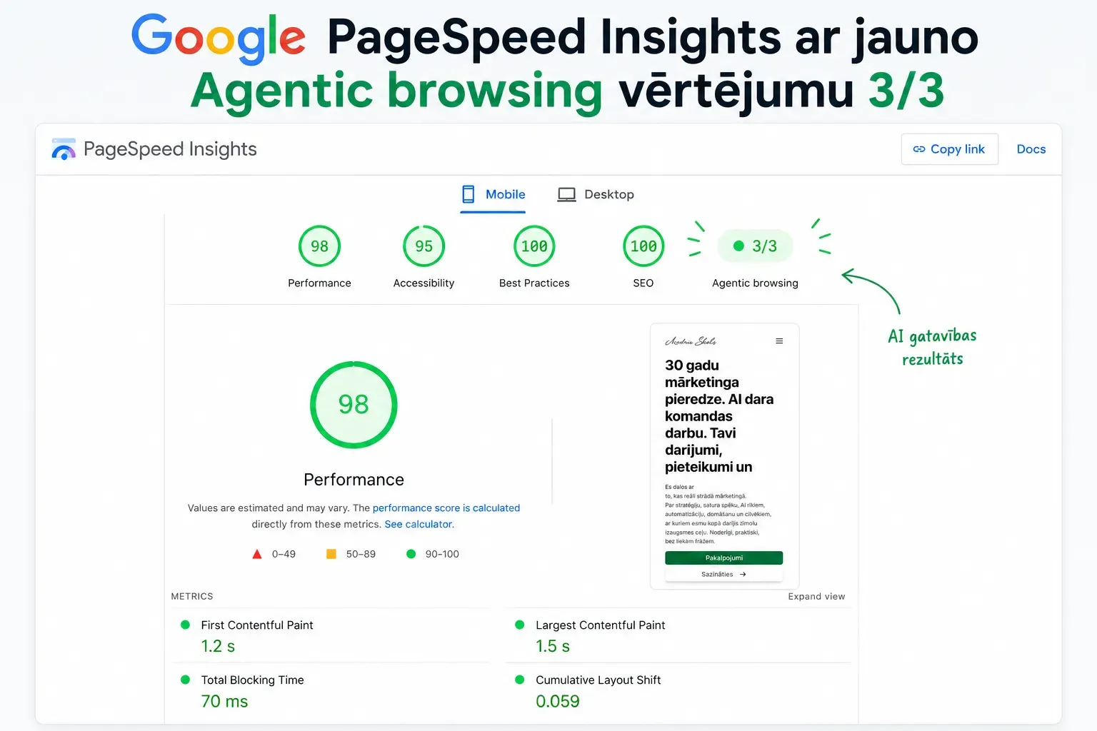 Google PageSpeed Insights ar jauno Agentic browsing vērtējumu 3/3 skels.lv lapai